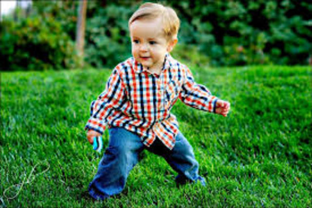 Intellectual Development