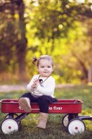 16-18 Months physical dev.