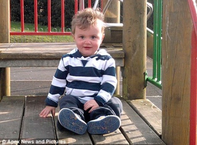 19-21 months old (COGNITIVE DEVELOPMENT)