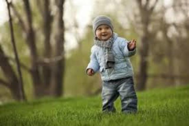 Cognitive 16-18months