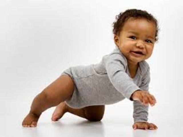 13-15 months: Cognitive