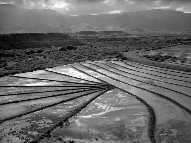 Farmalnd was easy to acquire