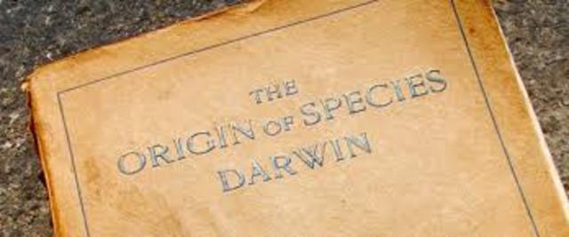 Origin of Species