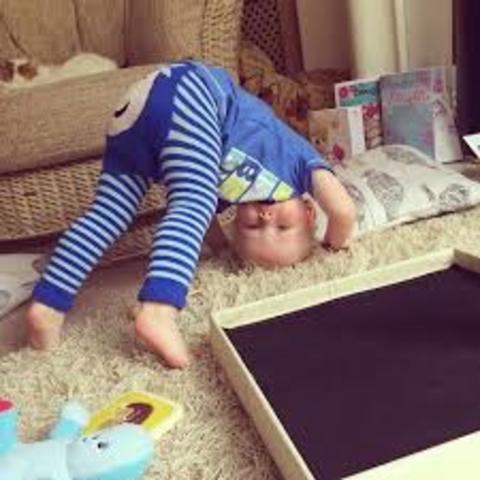 22-24 months (physical)