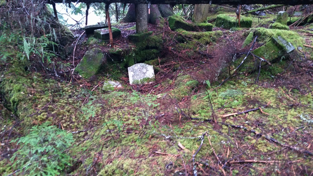 Photo Documentation of Graveyard