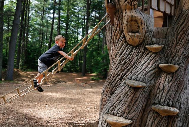 physical 30-36 months