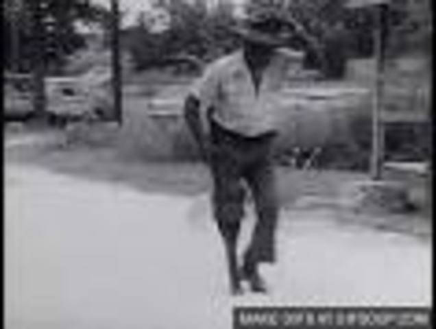 The mistery of the man with the wooden leg