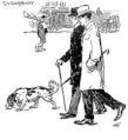 Toby`s investigation