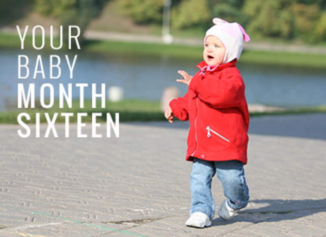 Phsyical Development 16-18 Months