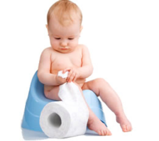 Physical Development 19-21 months