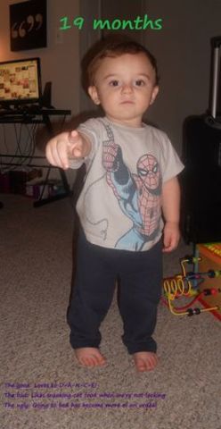 Cognitive Development 19-21