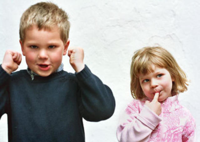 24-30 MONTHS COGNITIVE