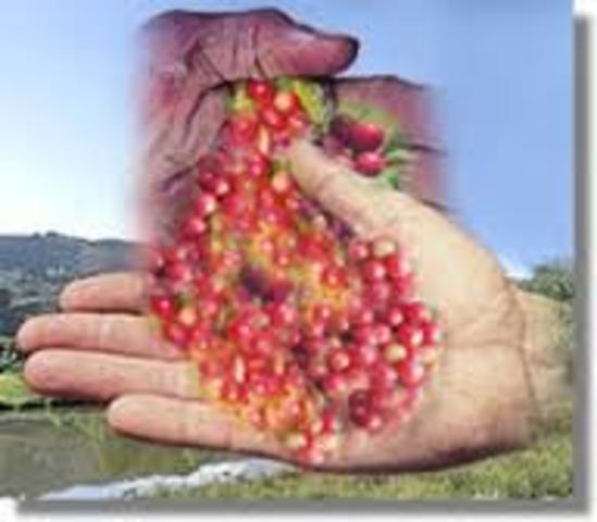 isla Guanahani  1492