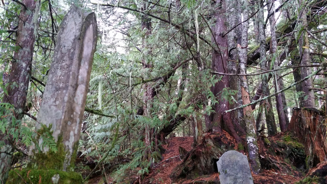 Charlie Starr & Susan Starr