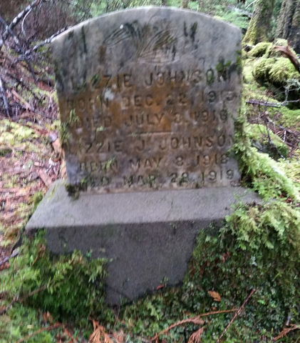 Lizzie Johnson & Lizzie J Johnson