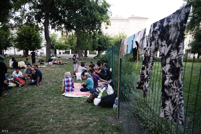 Beperli Kocsis Mátét a Helsinki Bizottság