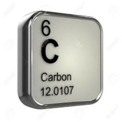 EN BUSCA DEL CARBONO