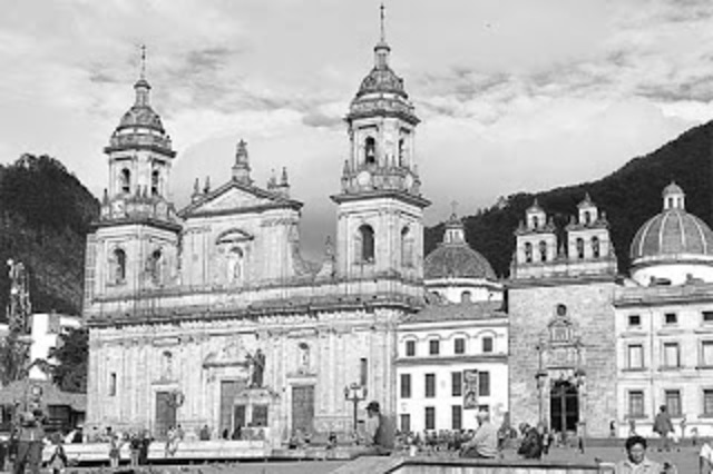 Organización por programas académicos