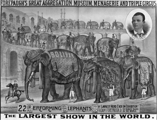 P.T. Barnum opens his three-ring circus, hailing it the "Greatest Show on Earth."