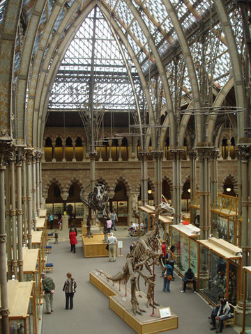 Oxford University Museum