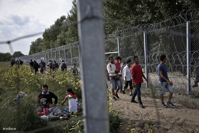 Orbán: Kerítés épül a horvát határon is