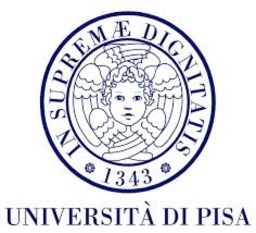 University of Pisa to Study Medicine