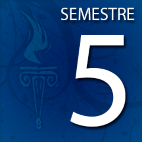 5 semstres