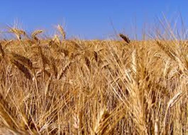 Apropament de Franco a l'ONU