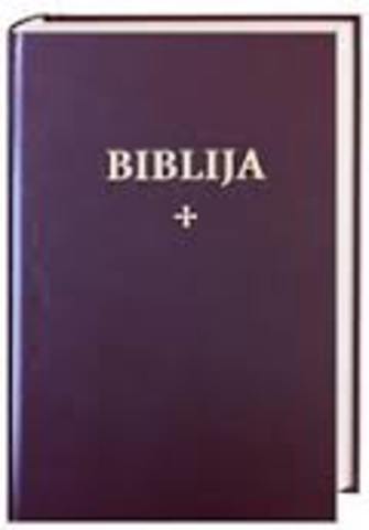 Bible Translation