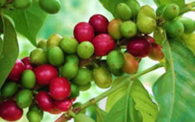 Colombia y su Economia