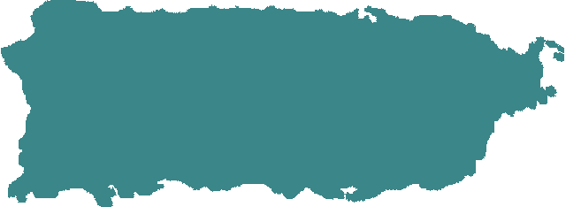 Puerto Rico Primary