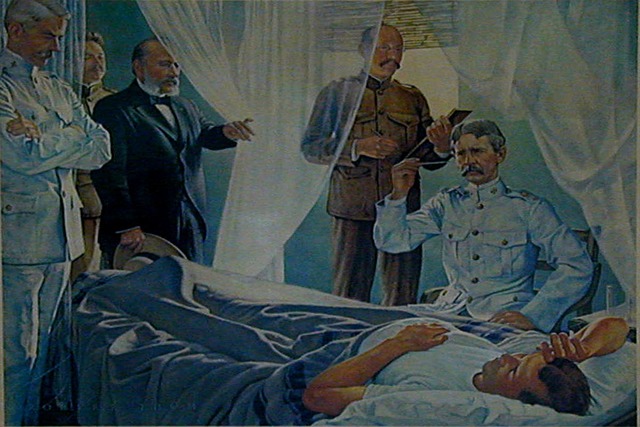 How did they nearly wiped out the Yellow Fever?