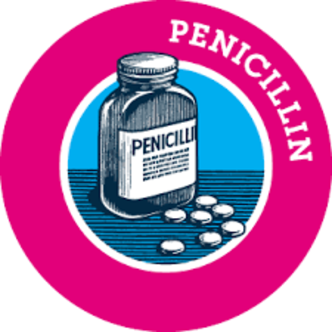 Creation of penicilin