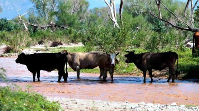 Conclusión de resarcimientos económicos a la población y por actividades productivas