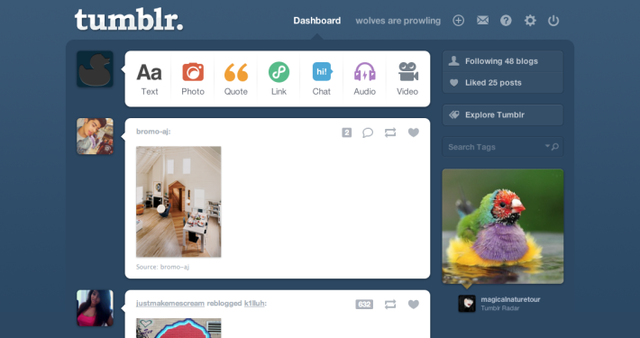 the development of tumblr