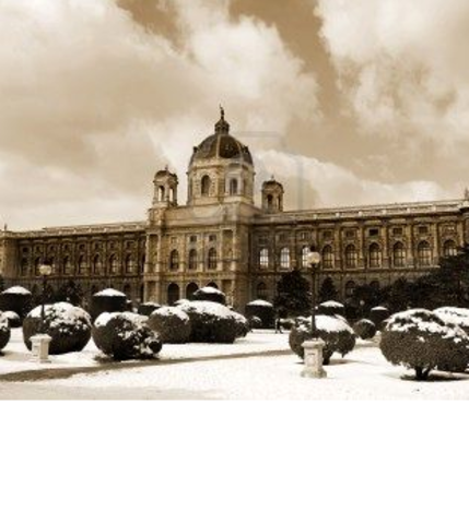 Was rejected by Vienna's Academy of Fine Arts