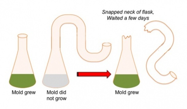 Spontaneous Generation