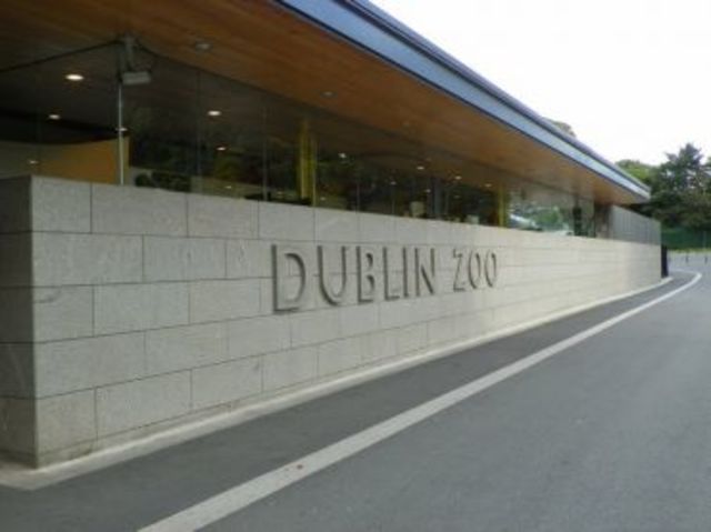 Visit Dublin zoo