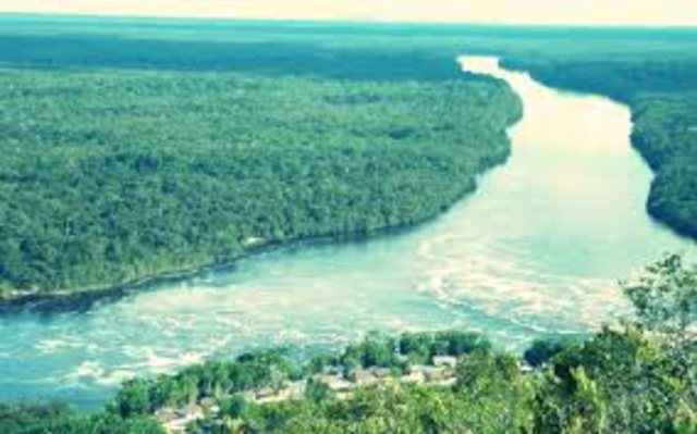 Arrive in Brazil, Amazona