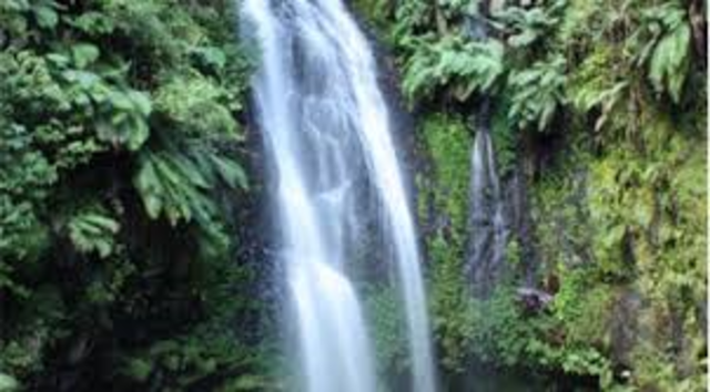 Visit Amber Mountain