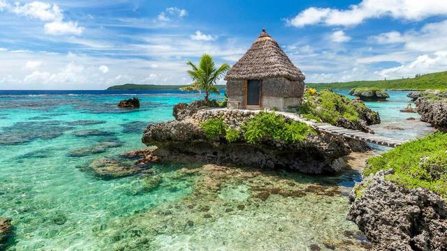 Arrive in New Zealand