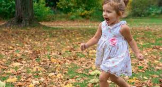 22-24 months: Physical