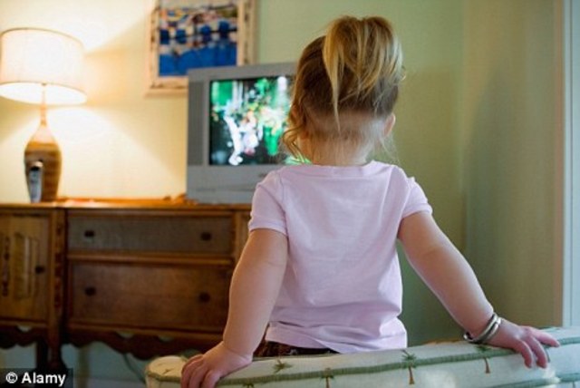 24 to 30 months cognitive