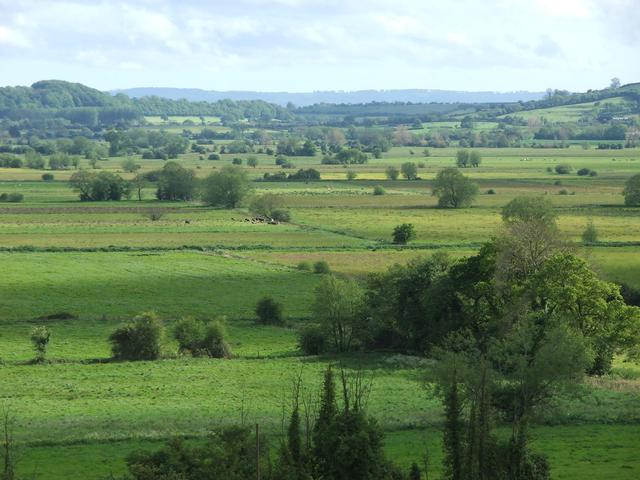 Start of major enclosures of Somerset Levels