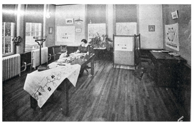 First Complaint Filed Against Marie