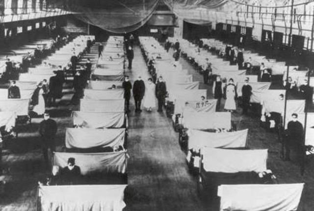 Influenza Epidemic