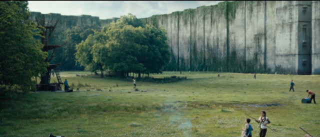 Arriving at the Glade