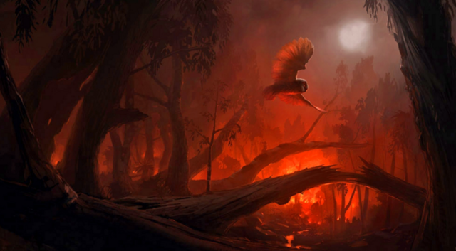 Setting The Forest on Fire