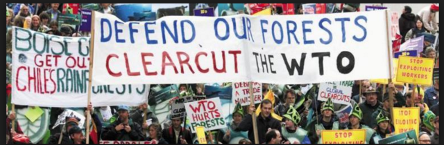 Environmental groups/Social justice vs State