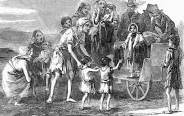 Irish Refugees